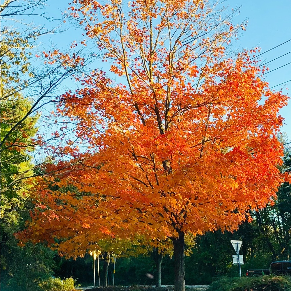 Meet your Posher, Beatriz